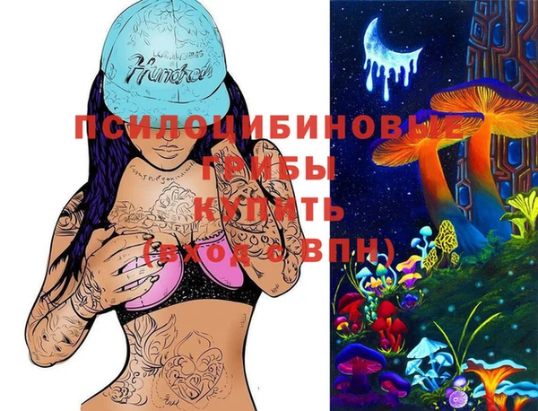 экстази Вяземский