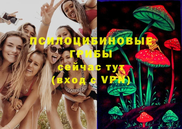 экстази Вяземский