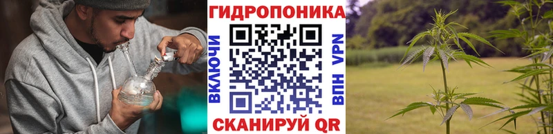 Канабис Bruce Banner Купить Бутурлиновка